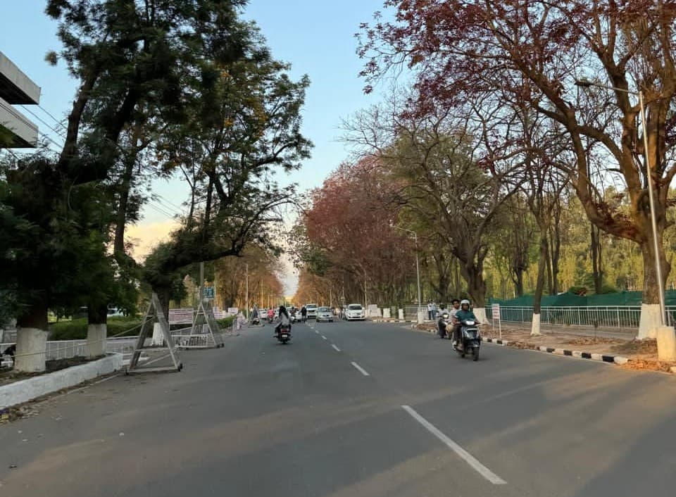 Panjab University Chandigarh Campus photo 2